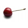 68bc7608deea5dcbb036de1963d4a707